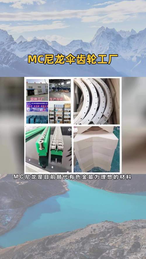 塑胶制品注塑厂 #mc尼龙伞齿轮工厂 #增强尼龙塑料制品厂